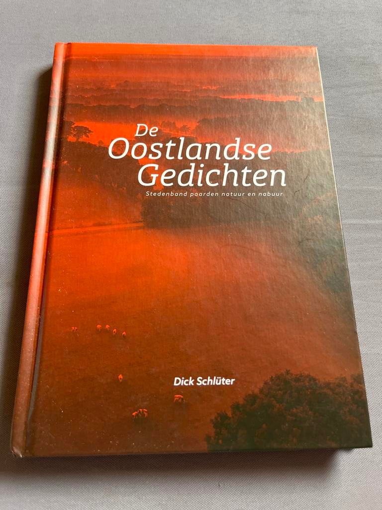 De Oostlandse Gedichten - Dick Schlüter, Ophalen of Verzenden, Zo goed als nieuw, Eén auteur