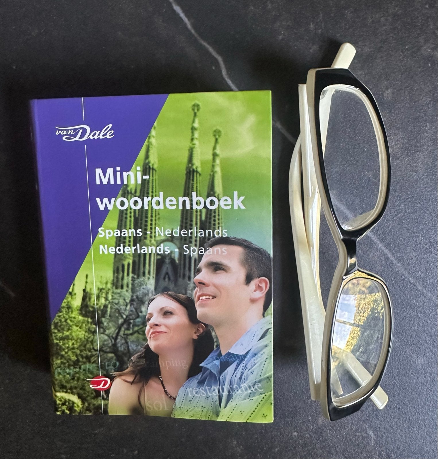 Van Dale Miniwoordenboek Spaans-Nederlands, Ophalen of Verzenden, Zo goed als nieuw, Van Dale, Nederlands