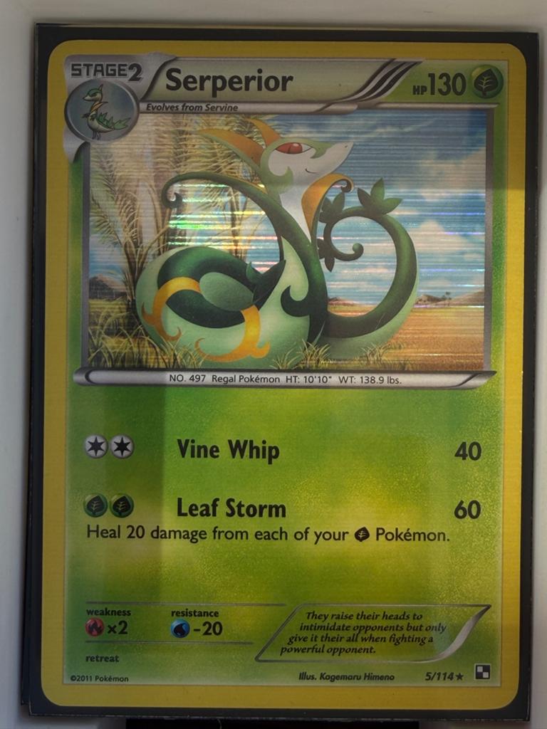 Pokémon Serperior Holo GD 5/114 Black & White, Ophalen of Verzenden, Gebruikt, Losse kaart, Foil