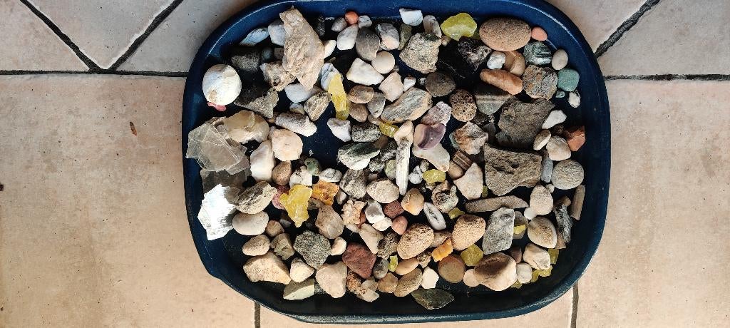 fossielen, stenen en oud koraal, Verzamelen, Mineralen en Fossielen, Ophalen of Verzenden, Fossiel