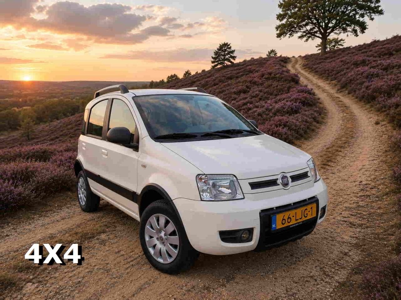 Fiat Panda 1.2 Climbing 4x4 (bj 2010), Auto's, Fiat, 1242 cc, Panda, 60 pk, Wit