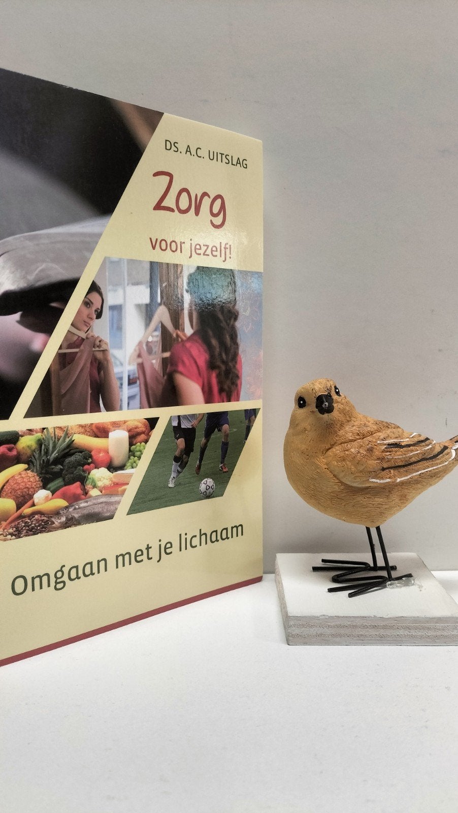 Uitslag, Ds. A.C.; Zorg voor jezelf!, Ophalen of Verzenden, Gelezen, Christendom | Protestants