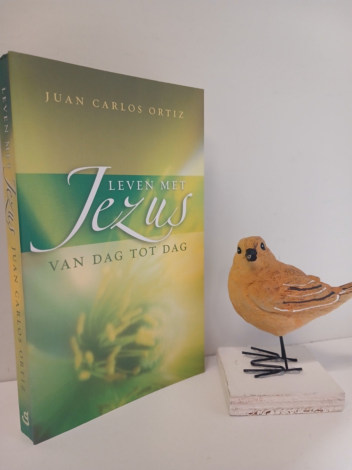Ortiz, Juan Carlos; Leven met Jezus van dag tot dag, Ophalen of Verzenden, Gelezen, Christendom | Protestants