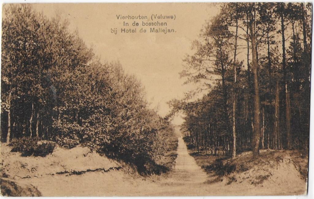 Vierhouten Boschen bij Hotel Mallejan Ansichtkaart (B1803, Ophalen of Verzenden, 1960 tot 1980, Gelopen
