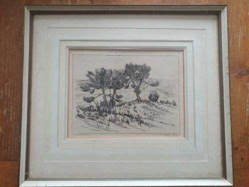 Ets Frans Room duinen pijnbomen Zaandam, Ophalen