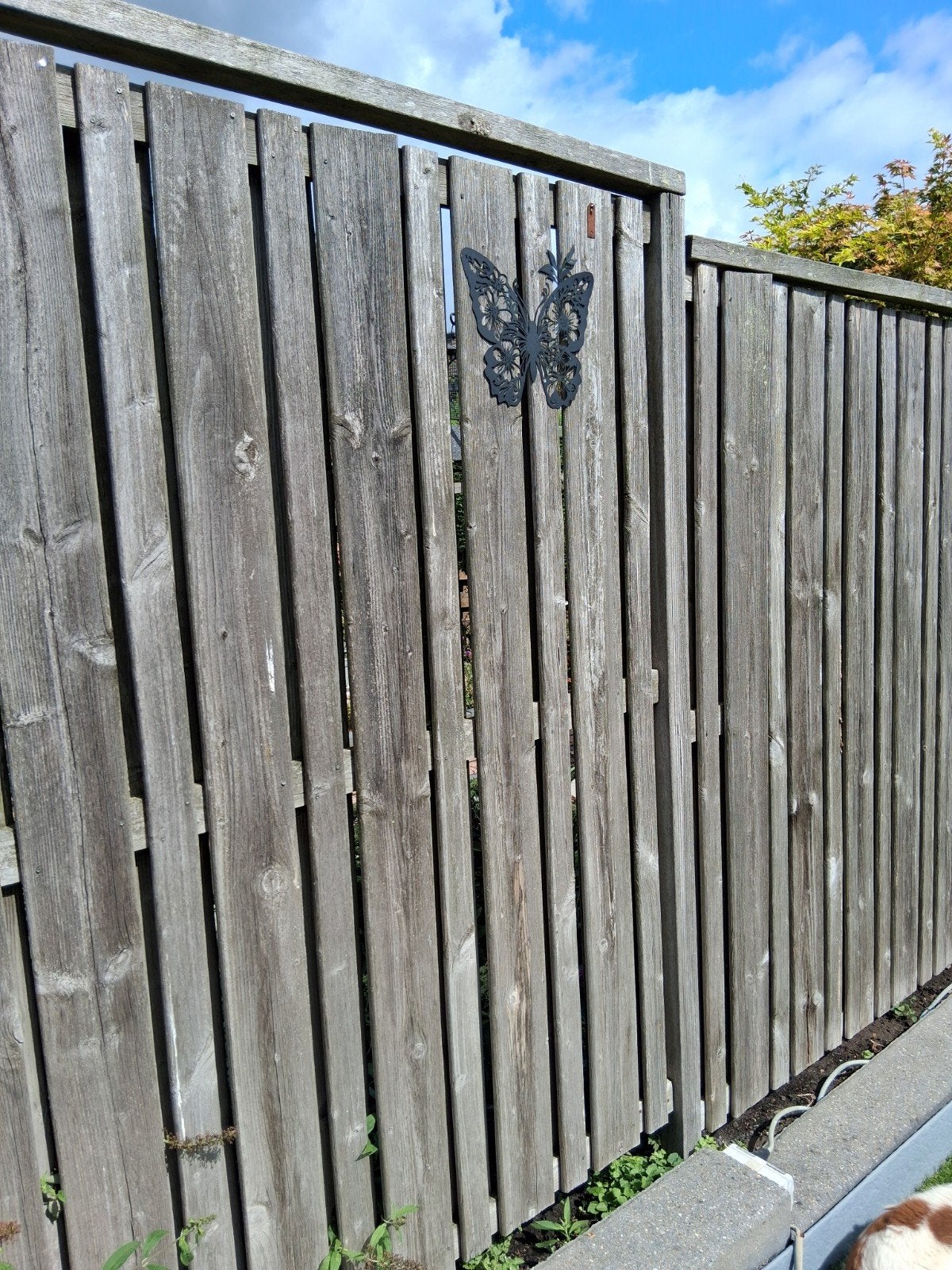 gratis schutting, Ophalen, 6 meter of meer, Hout, 1 tot 2 meter