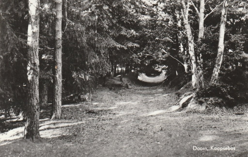 DOORN Kaapsebos, Verzenden, 1960 tot 1980, Gelopen, Utrecht