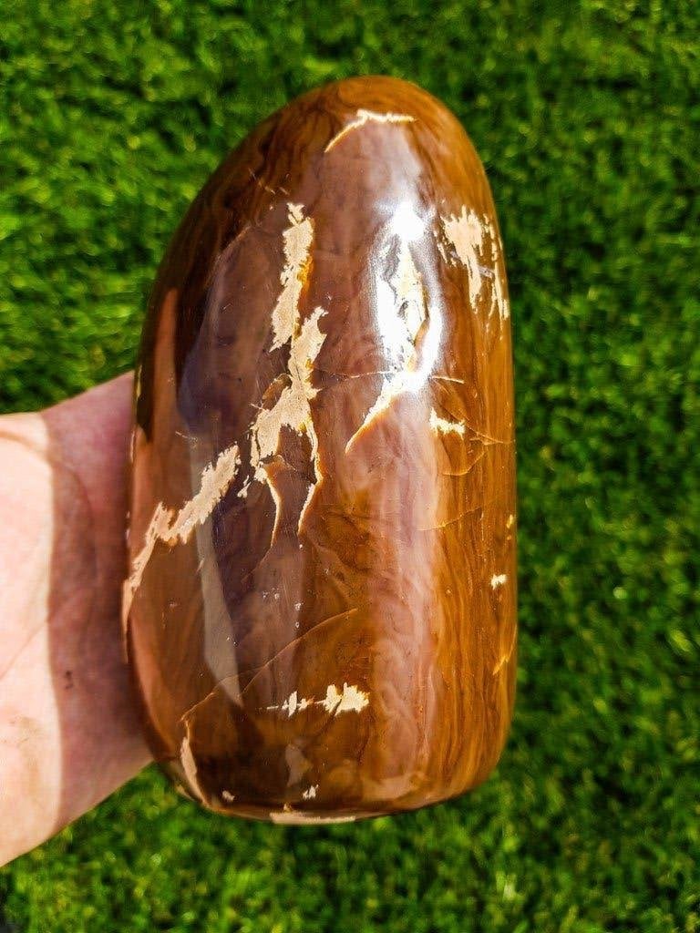amber, Ophalen of Verzenden, Fossiel