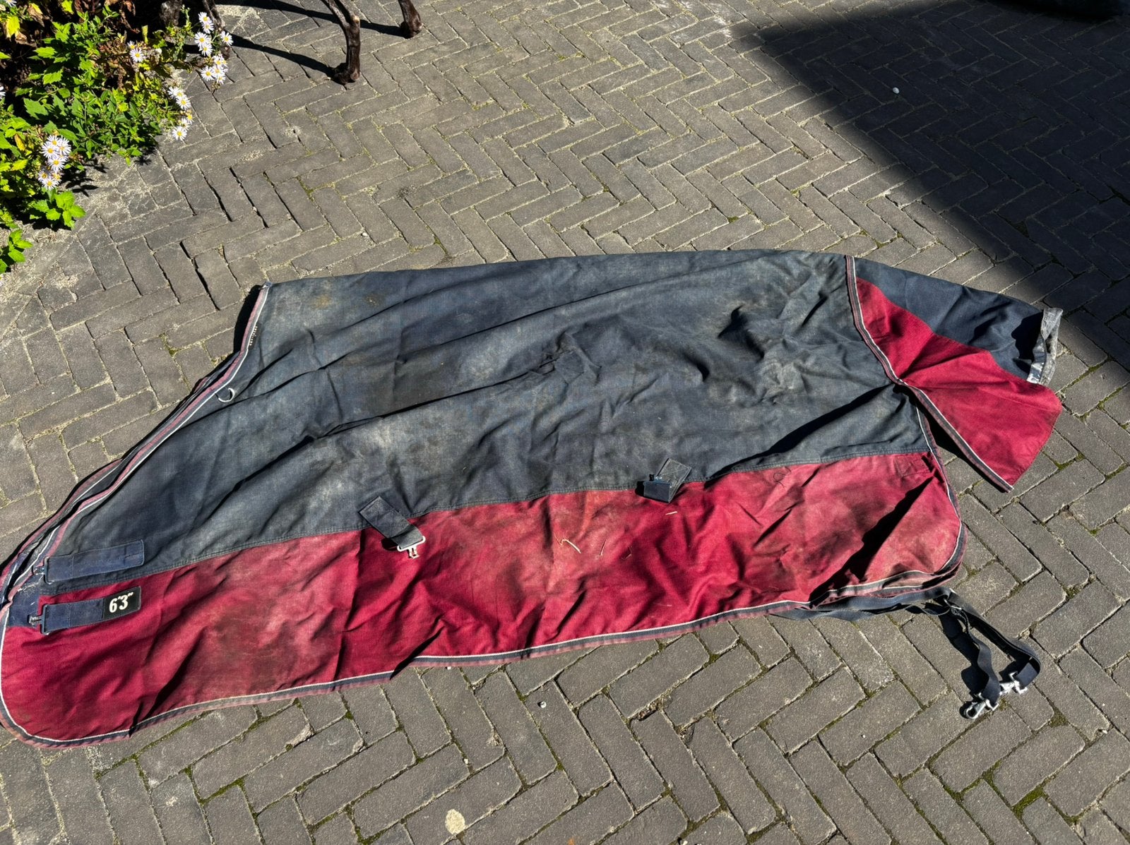 Equitheme deken 50 gram 190, Ophalen of Verzenden, Zo goed als nieuw