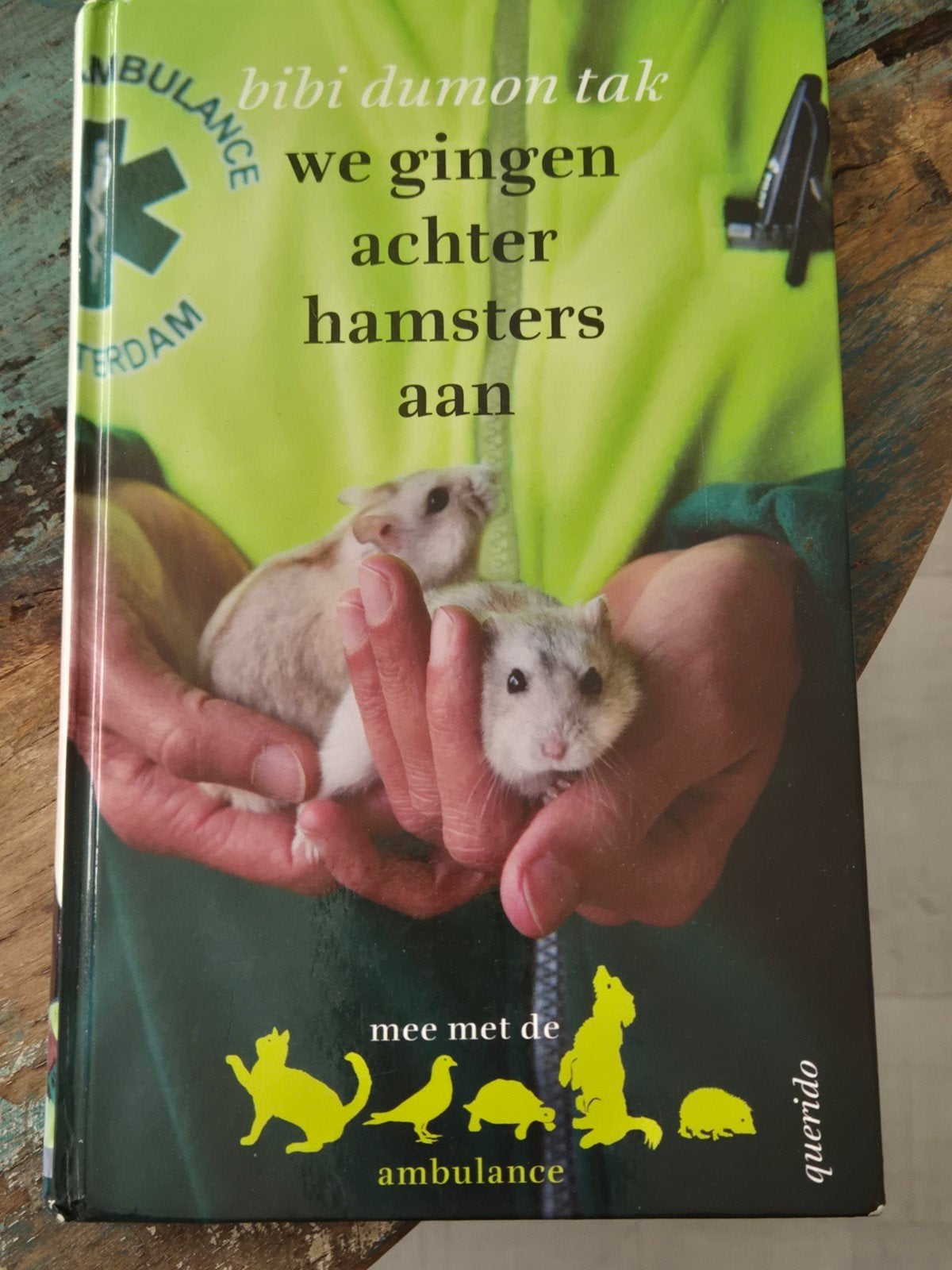 Kinderboeken in gebruikte staat - 1 euro per stuk, Boeken, Ophalen, Gelezen, Fictie