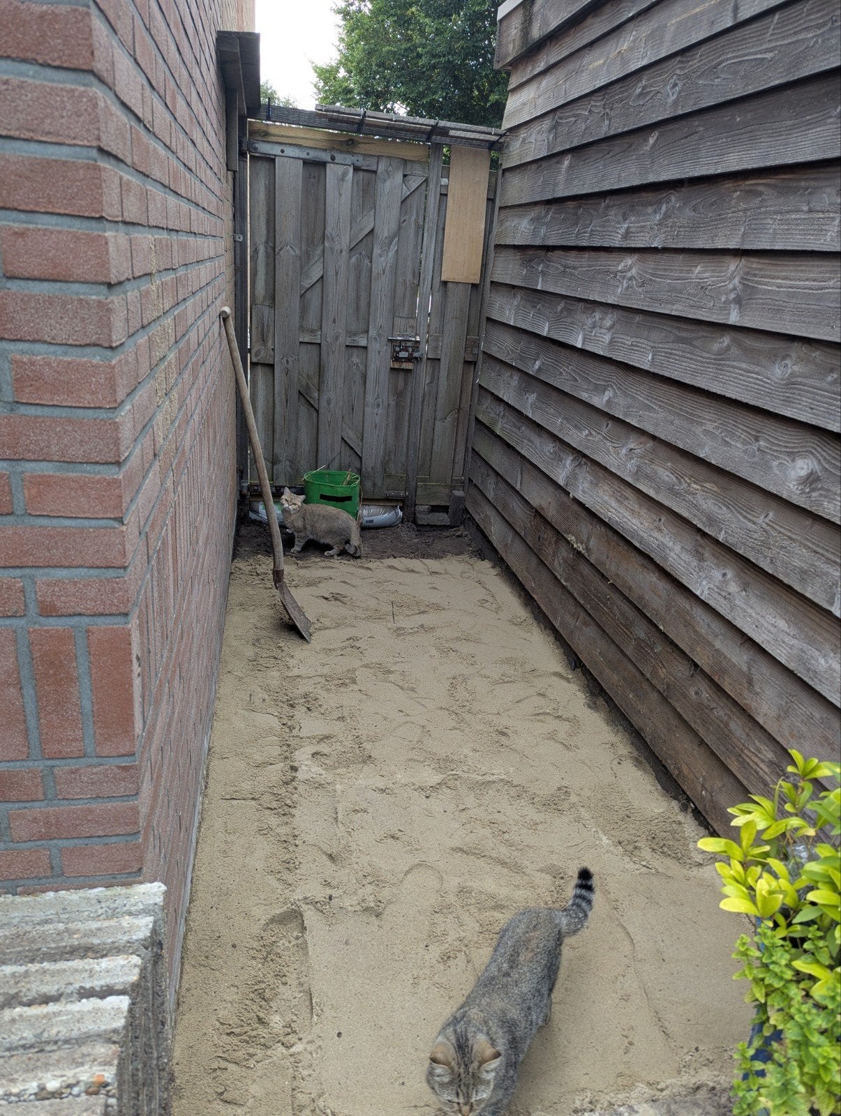 Gevraagd stratenmaker, Tuin en Terras, Ophalen