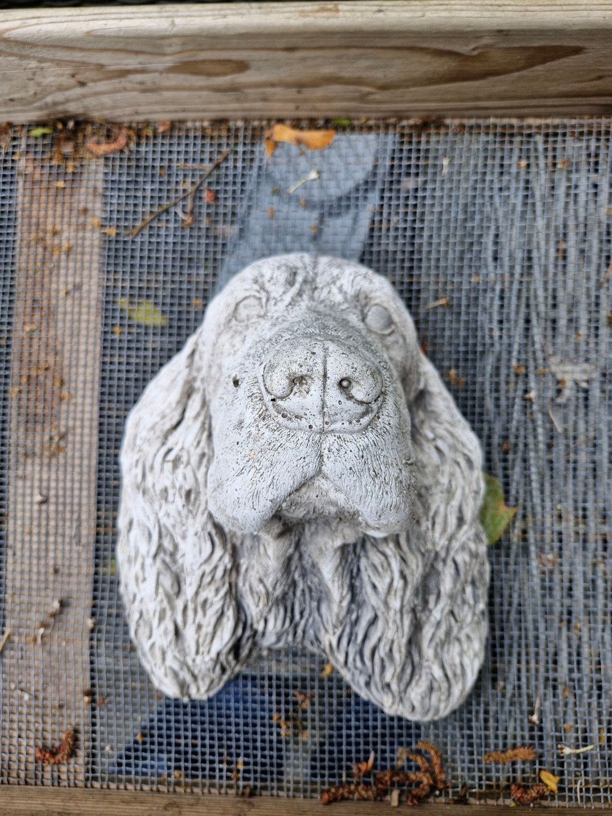 Decoratieve Hondenkop Beeld - Tuin of Huis, Ophalen, Vintage, Gebruikt, Grijs