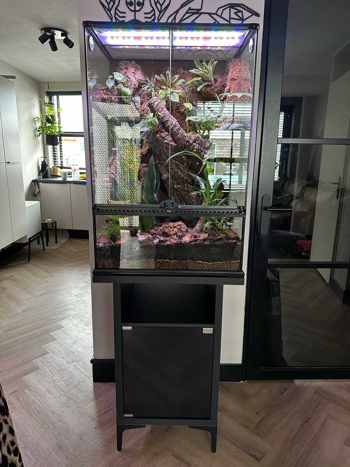 Exo Terra Paludarium 6045 90cm Volledig bioactief., Dieren en Toebehoren, Ophalen, Zo goed als nieuw