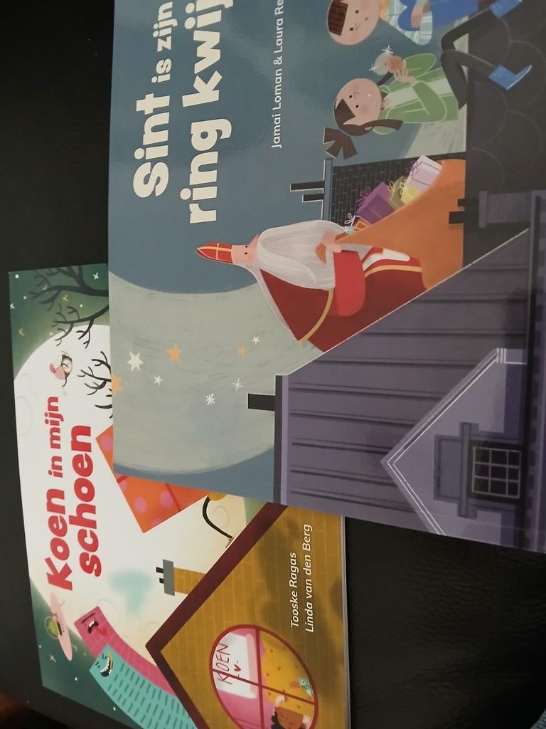 Sinterklaasboeken, Diversen, Sinterklaas, Ophalen of Verzenden, Nieuw
