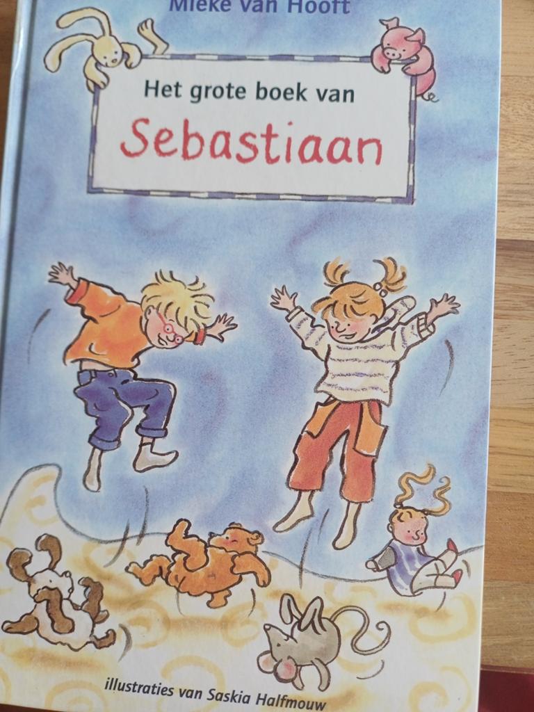 Mieke van Hooft - Het grote boek van Sebastiaan, Fictie algemeen, Mieke van Hooft, Ophalen of Verzenden, Zo goed als nieuw