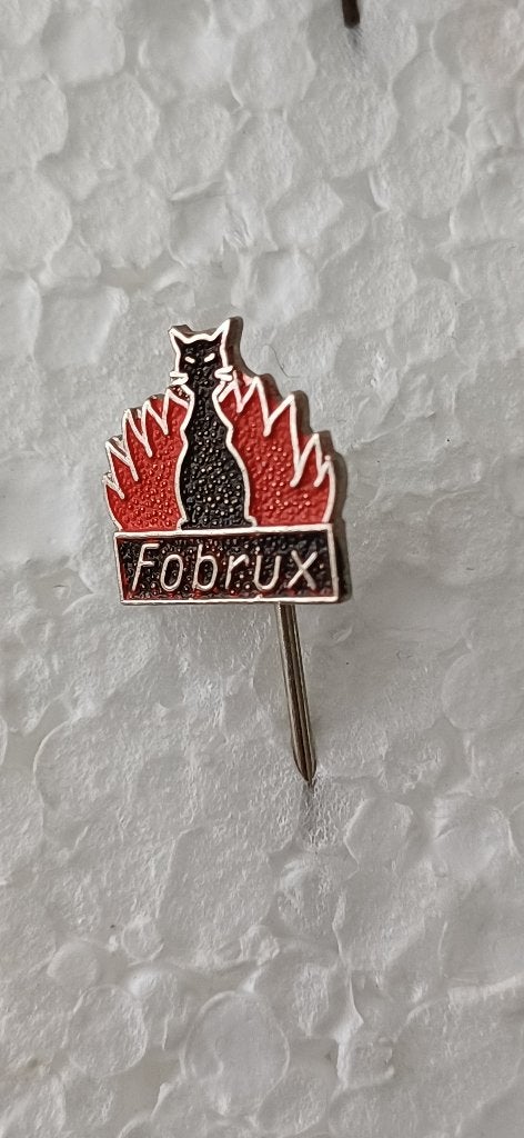 Fobrux kachels en haarden, Ophalen of Verzenden, Zo goed als nieuw, Overige onderwerpen
