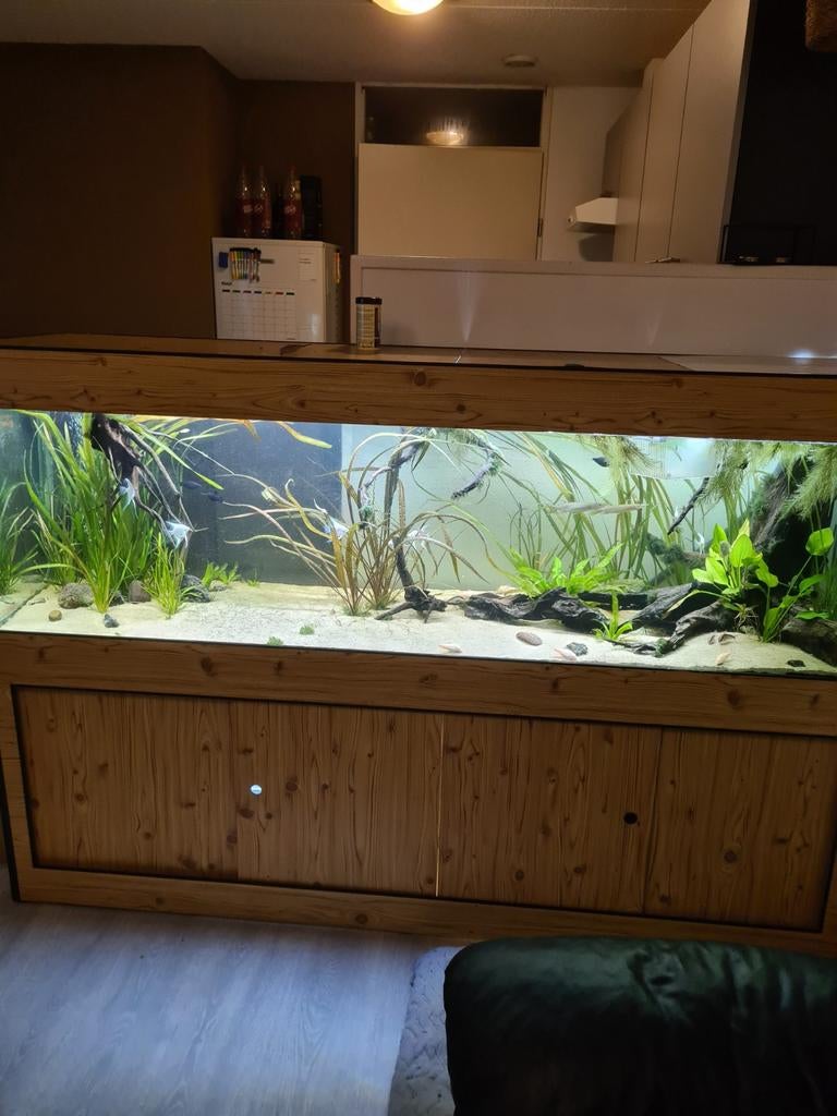 Aquarium 1.90x50x60cm te koop of te ruil, Ophalen, Gevuld zoetwateraquarium