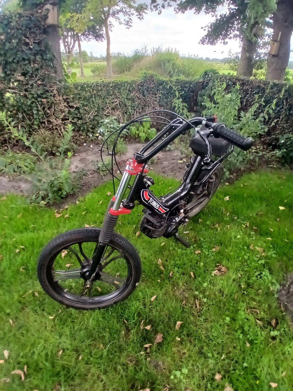 Tomos A3 Ms 50cc, Fietsen en Brommers, Ophalen, Standard