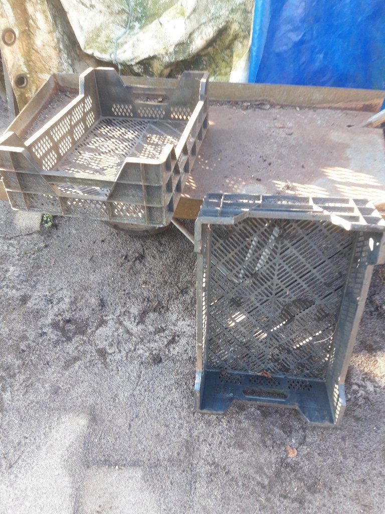 Zwarte lage planten bakken, Ophalen, Kunststof, Minder dan 30 cm, Minder dan 60 cm