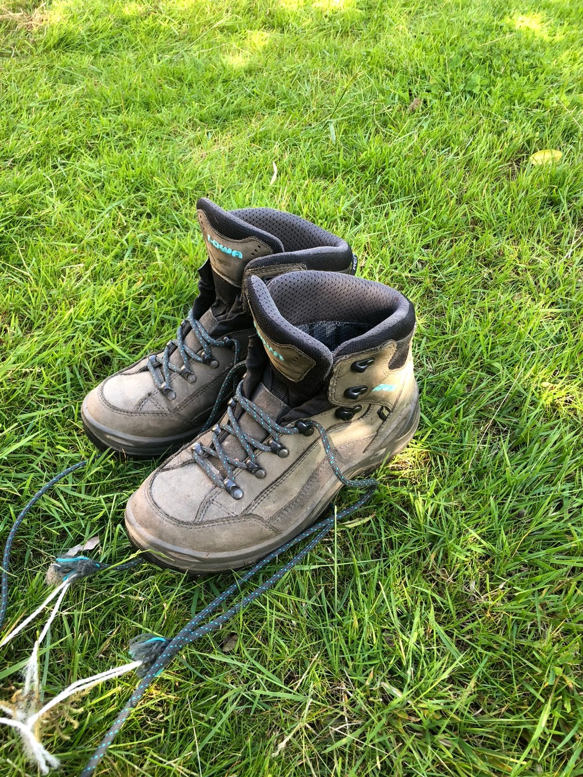 Lowa Renegade wandelschoenen hoog, maat 39,5, Ophalen, Gebruikt, Schoenen