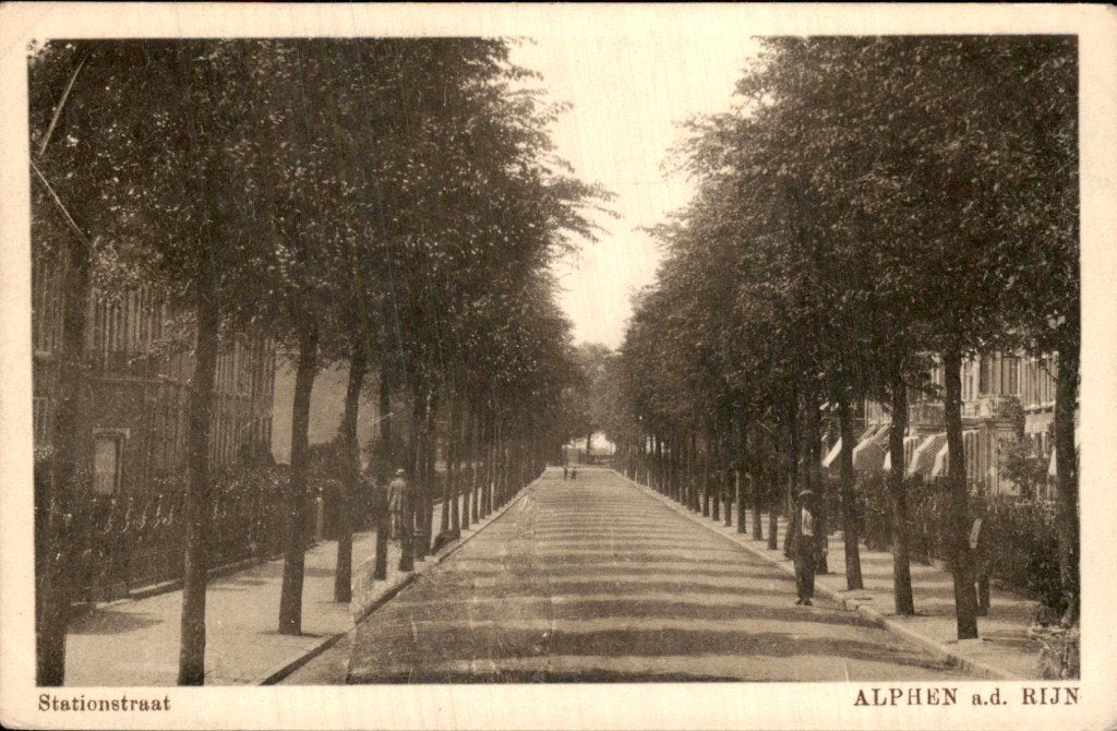 Alphen a.d. Rijn - Stationstraat - Boomrijke laan, Ophalen of Verzenden, Voor 1920, Ongelopen, Zuid-Holland