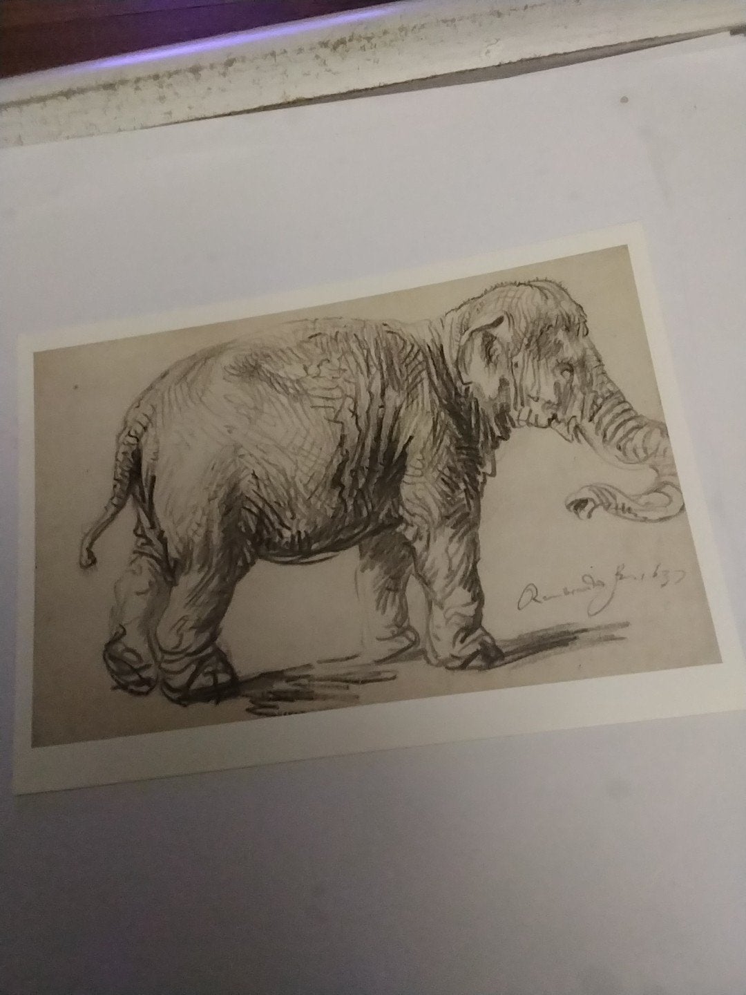Rembrandt Harmensz. van Rijn - De Olifant (1637) -, Ophalen of Verzenden
