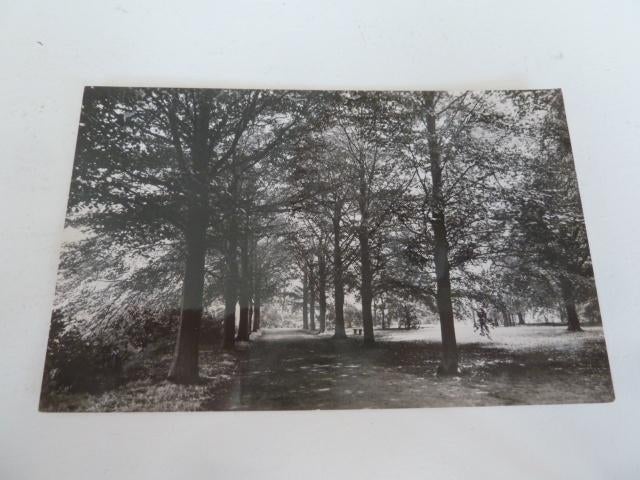 Udenhout circa 1965 Beukenhof, Verzamelen, Ansichtkaarten | Nederland, Ophalen of Verzenden, 1960 tot 1980, Ongelopen