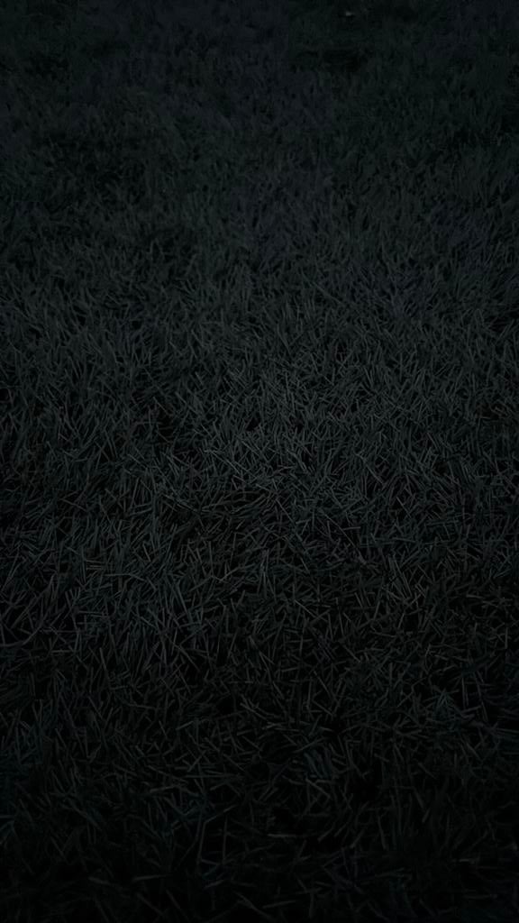 Kunst gras, Ophalen of Verzenden, Zo goed als nieuw, Minder dan 10 m², Ga