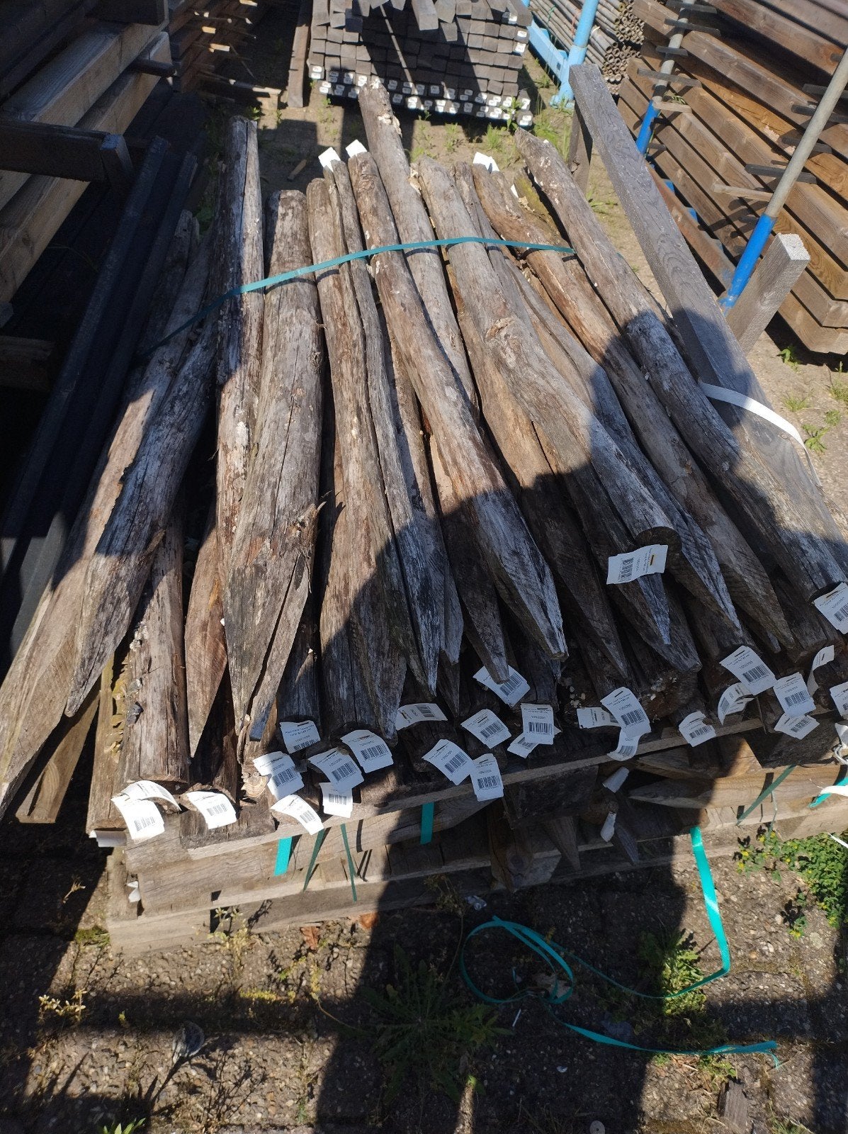 Hazelnoot palen, Ophalen, Minder dan 180 cm, Palen