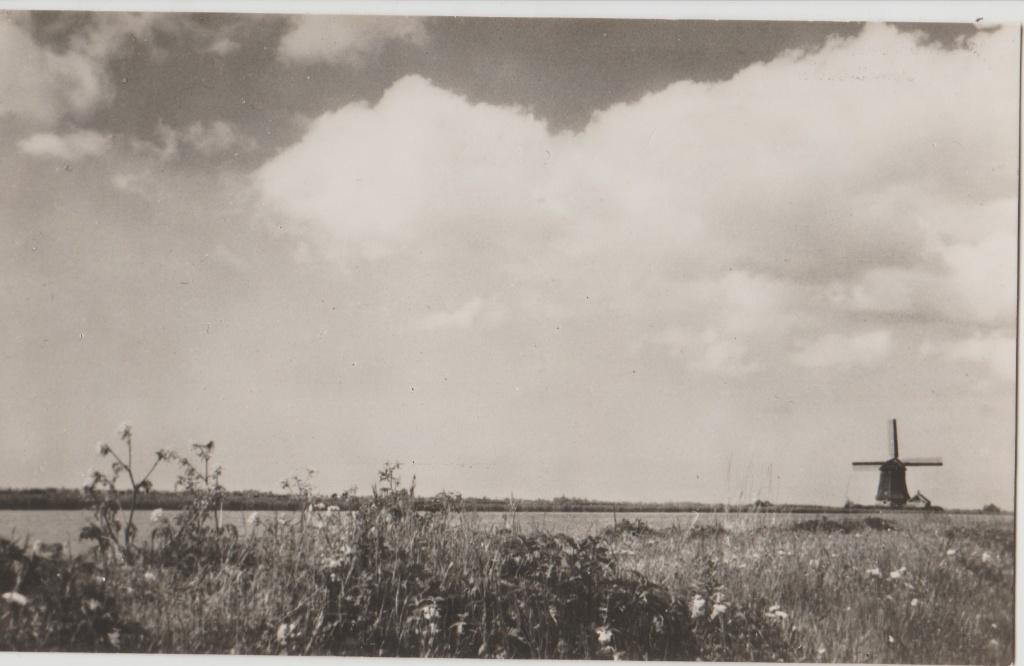 molen de woudaap krommenie uitgeest uitg. spaander, Ophalen of Verzenden, 1960 tot 1980, Ongelopen, Natuur