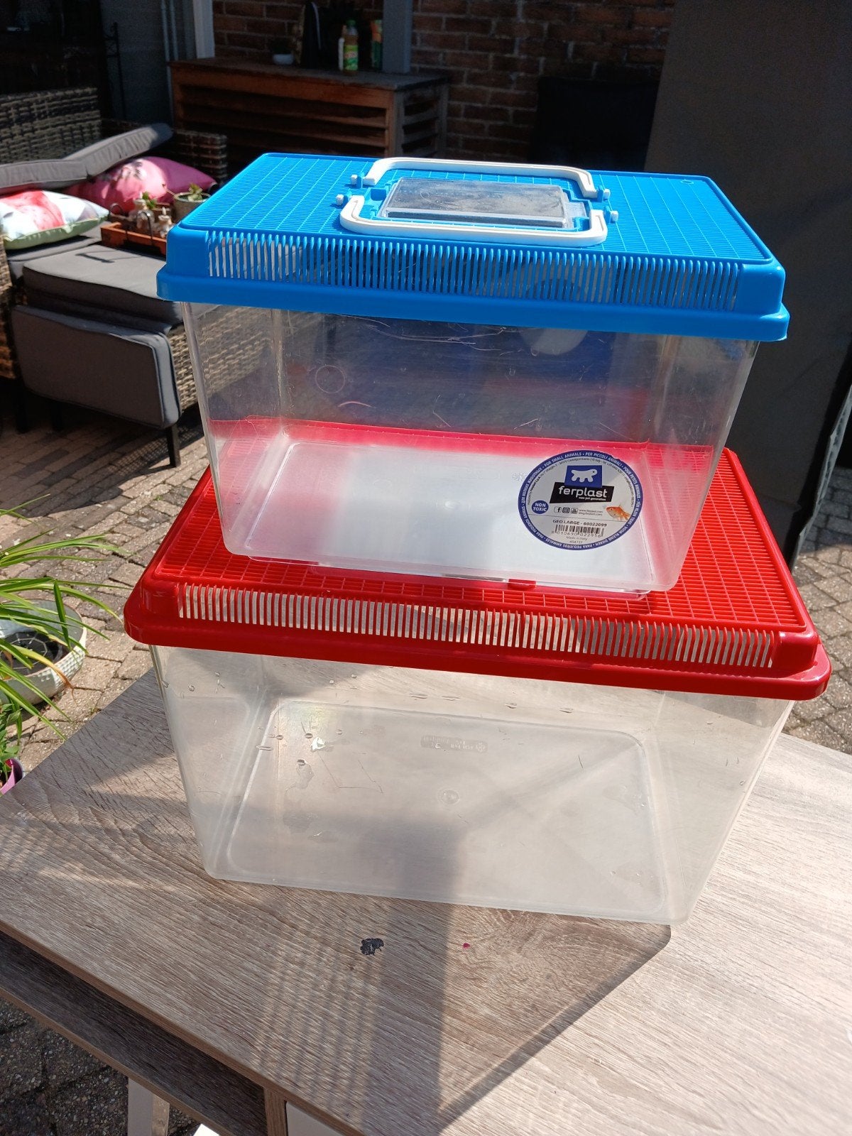 Twee aquariums gratis, Ophalen, Inclusief deksel, Gebruikt, Leeg aquarium