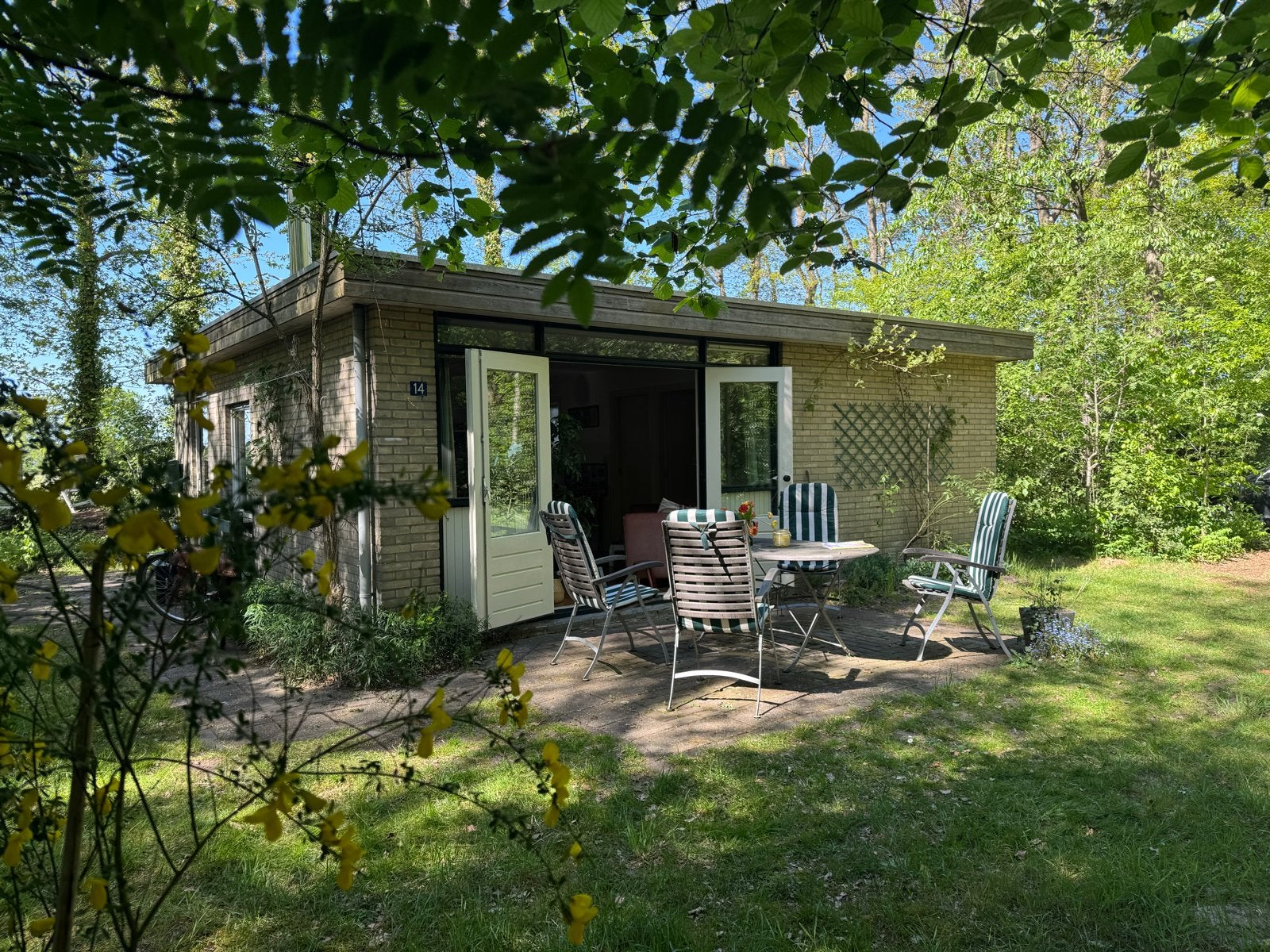 Lastminute  4/11 juli vak huisje Drenthe 575 euro, Drie personen of meer, Ticket of Toegangskaart