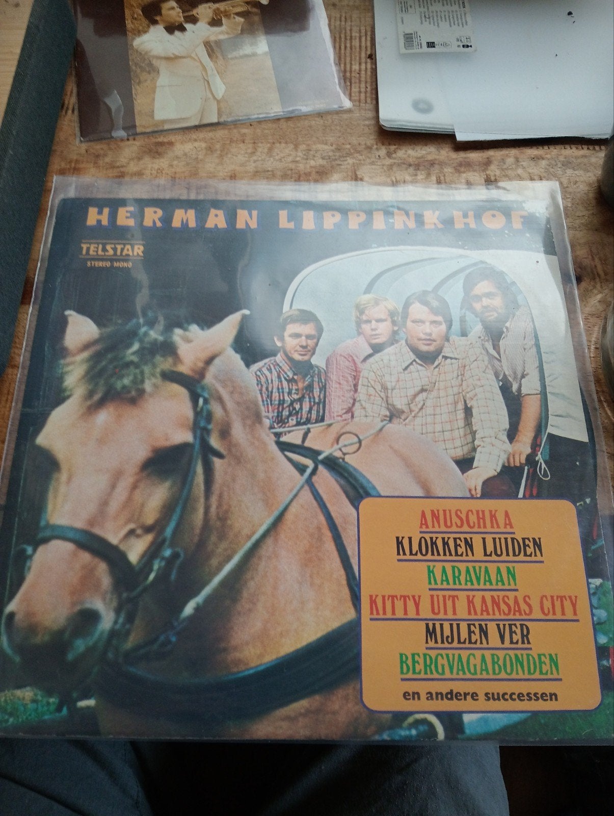 lp Herman lippinkhof, Ophalen of Verzenden, Gebruikt, 12 inch, Levenslied of Smartlap