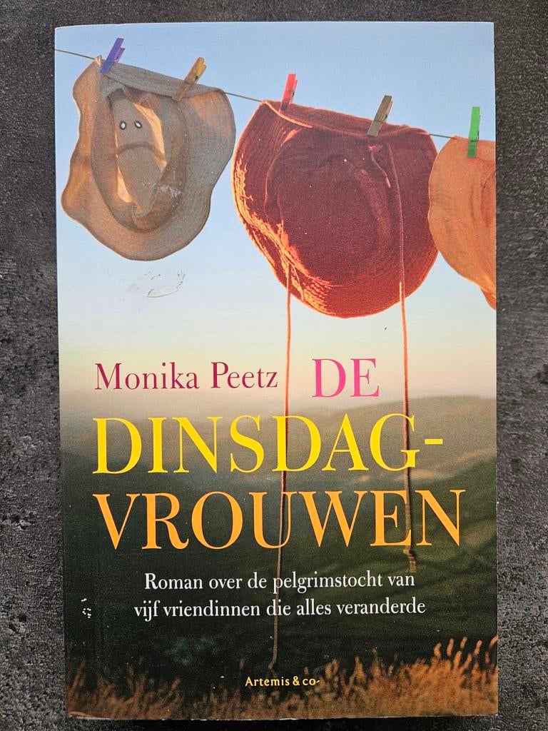 De Dinsdagvrouwen - Monika Peetz (Roman), Ophalen of Verzenden, Gelezen, Monika Peetz, Nederland