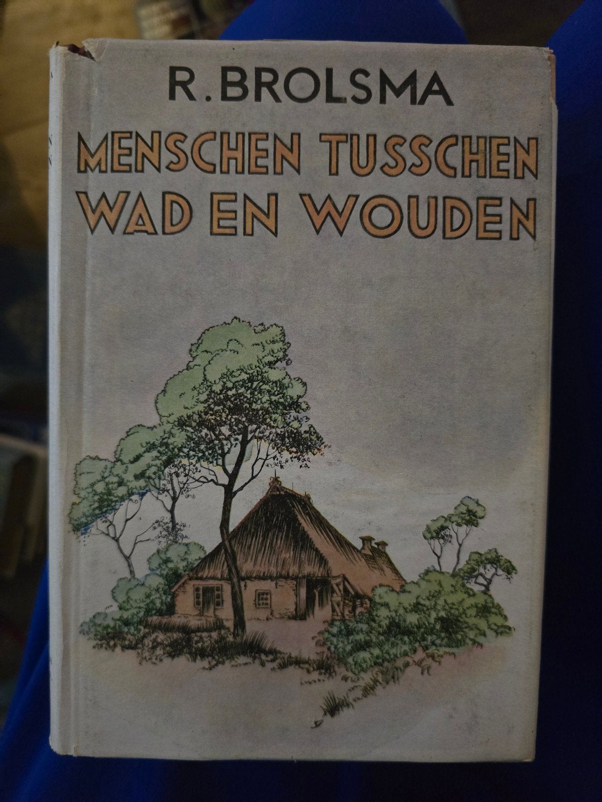 Mensen Tusschen Wad en Wouden - R. Brolsma (Derde Druk), Boeken, Ophalen of Verzenden, Gelezen, R. Brolsma, Nederland