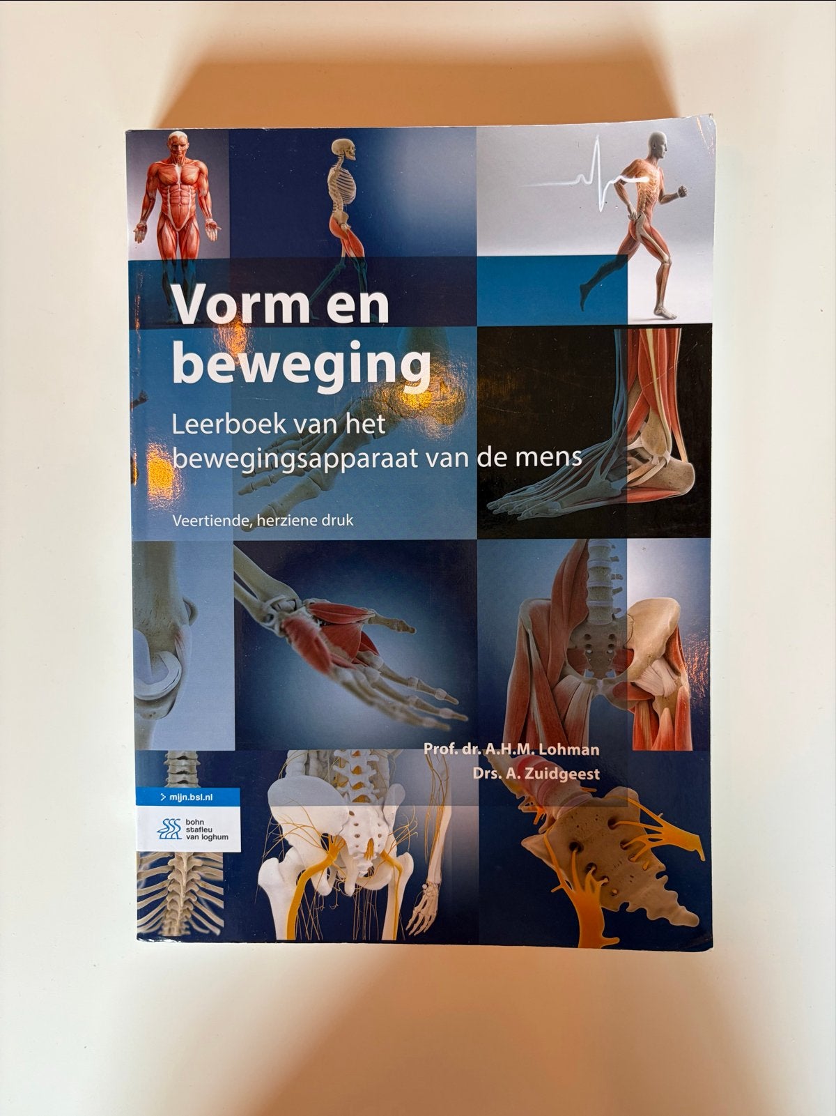 Vorm en beweging - Leerboek bewegingsapparaat HBO Fysio, Boeken, Ophalen of Verzenden, Beta, Nieuw, HBO