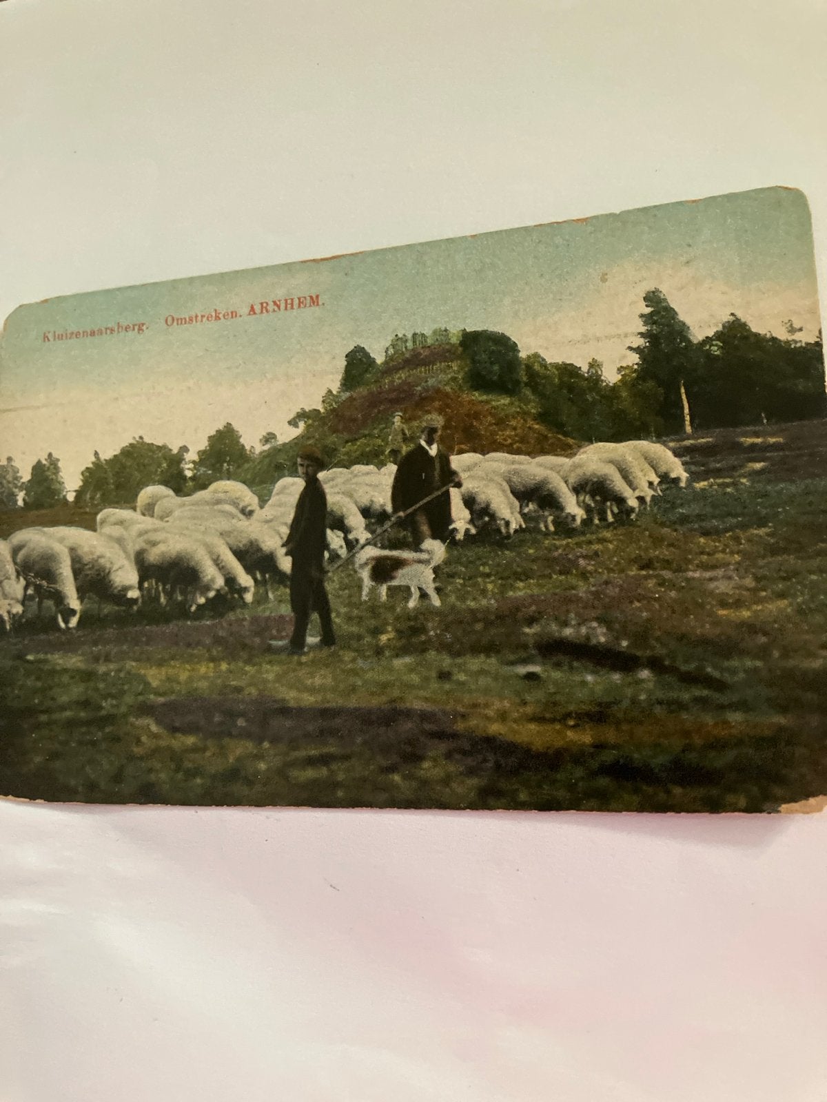 Oude Ansichtkaart Schaapherder Kluizenaarsberg  Arnhem, Ophalen of Verzenden, Voor 1920, Ongelopen, Gelderland