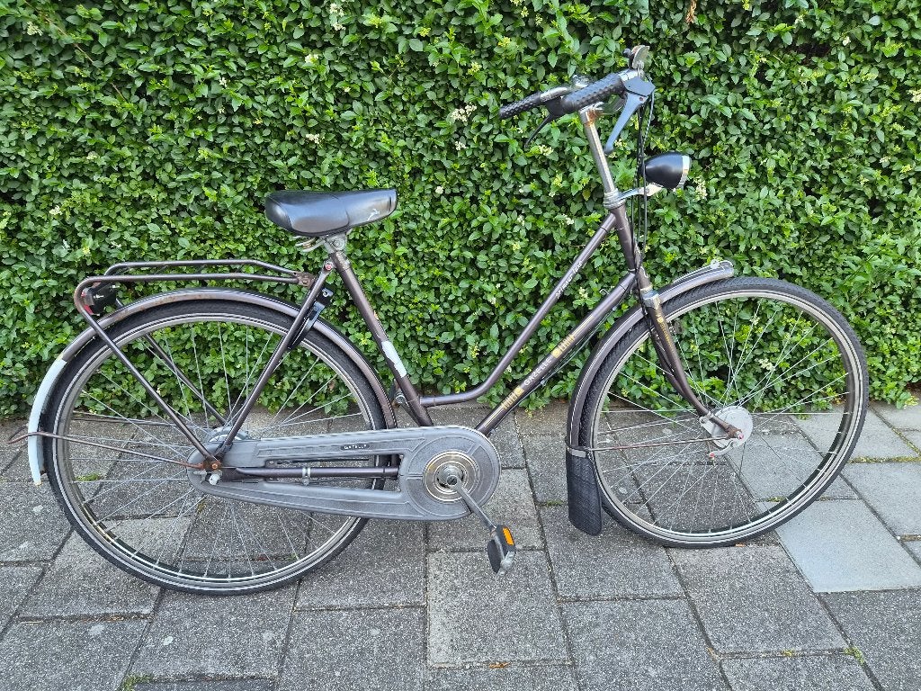Bruine Gazelle Damesfiets Met Drie Versnellingen, Ophalen, Versnellingen, Gazelle, Trommelrem