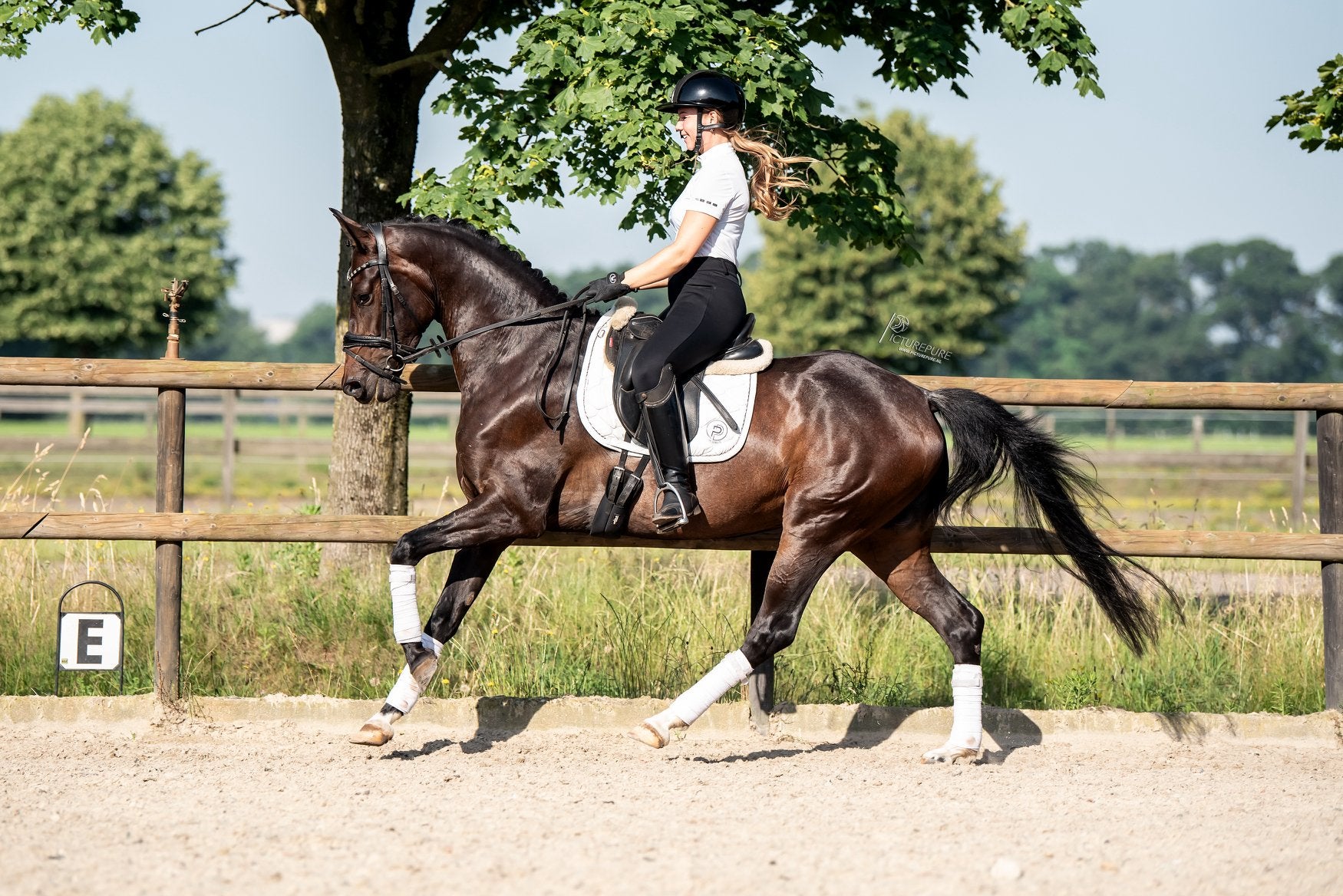 Te koop: Prachtige en super brave 4-jarige merrie, Dieren en Toebehoren, Paarden, Merrie, B, Dressuurpaard, 3 tot 6 jaar