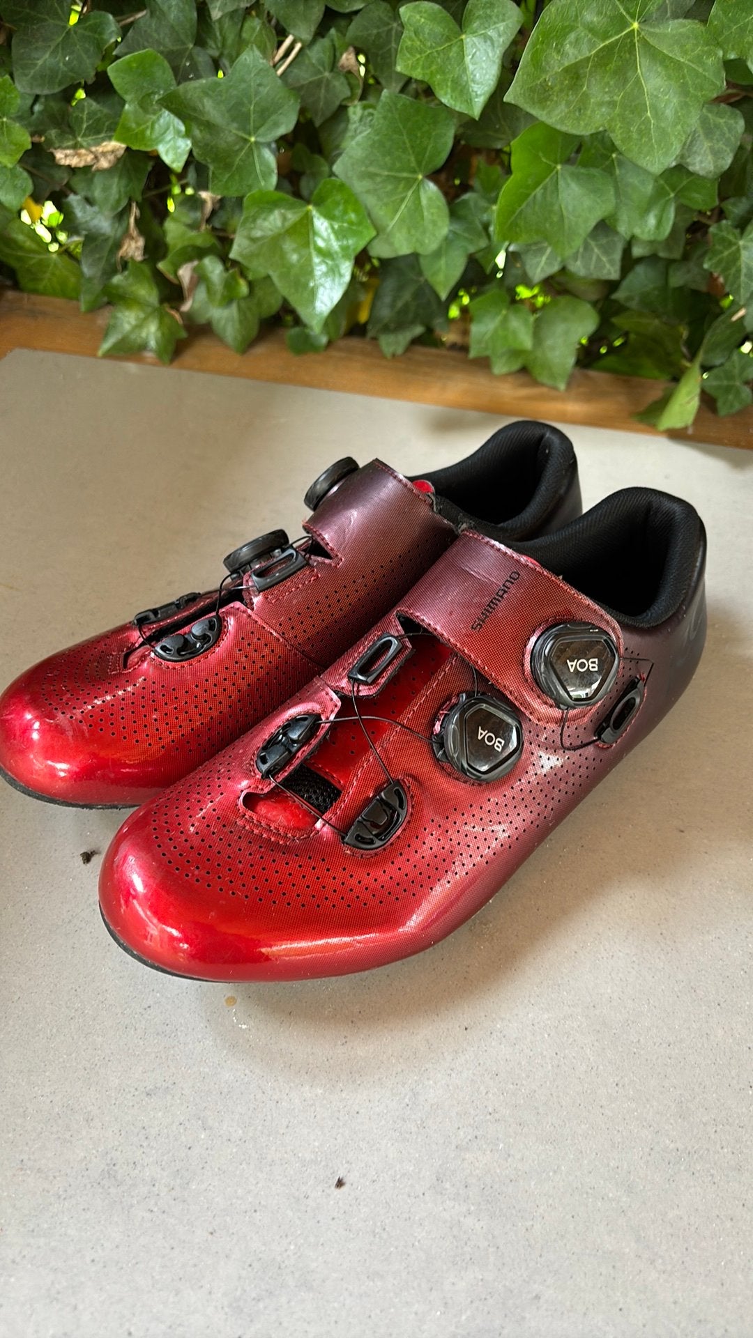 Shimano RC7 mt43, Ophalen of Verzenden, Gebruikt, Schoenen
