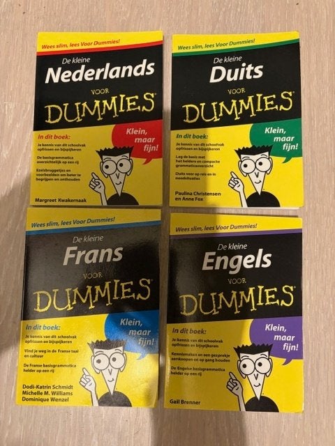 VOOR DUMMIES taalboekjes (Ned.-Frans-Duits-Engels), Overige uitgevers, Ophalen of Verzenden, Zo goed als nieuw, Margreet Kwakernaak
