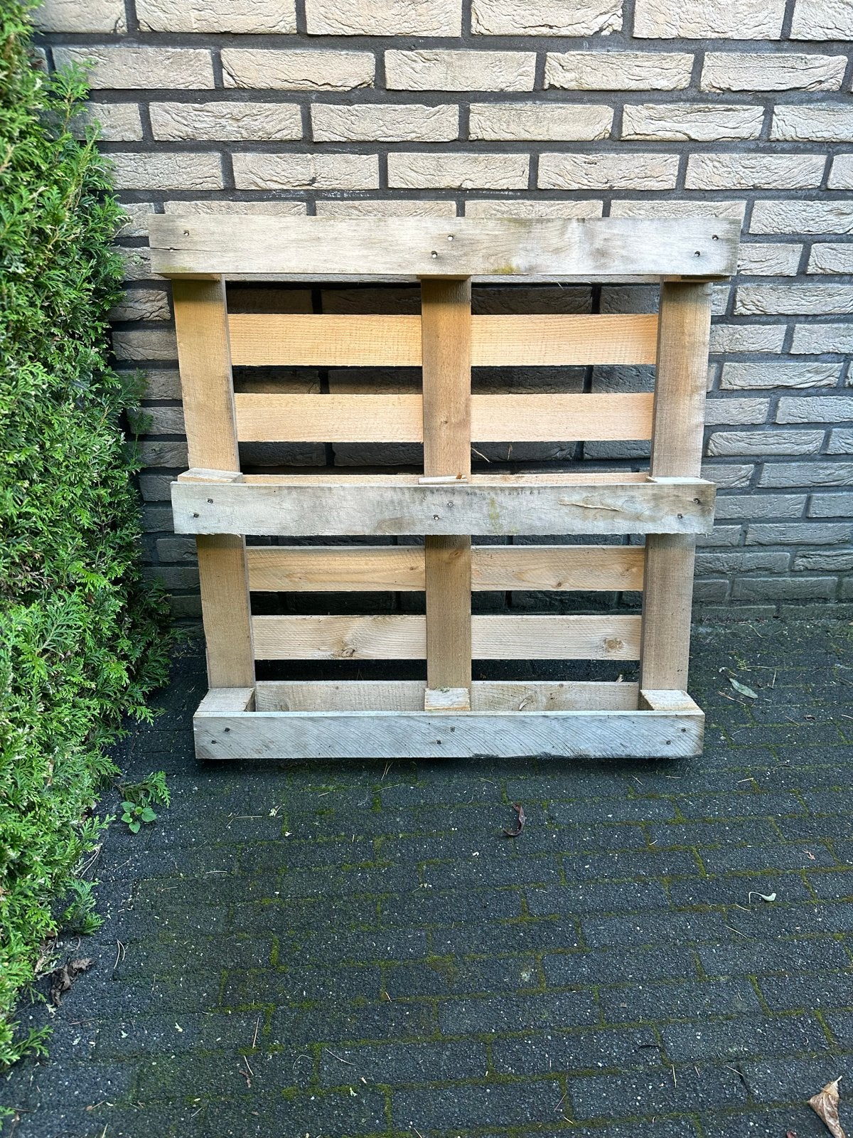 Houten pallet 1x1 meter - Gratis af te halen, Ophalen, Gebruikt, 100 cm of meer, 60 cm of meer