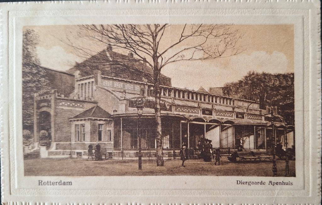 Diergaarde Blijdorp Rotterdam, Ophalen of Verzenden