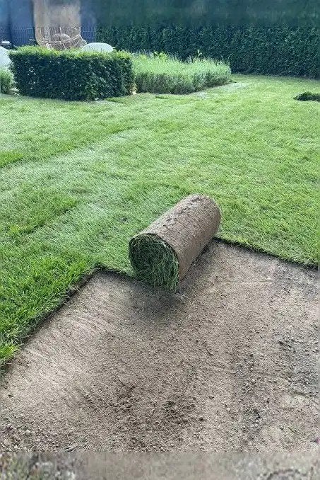 Gezocht: Gratis Graszoden voor Tuinproject, Ophalen, Nieuw, 20 m² of meer