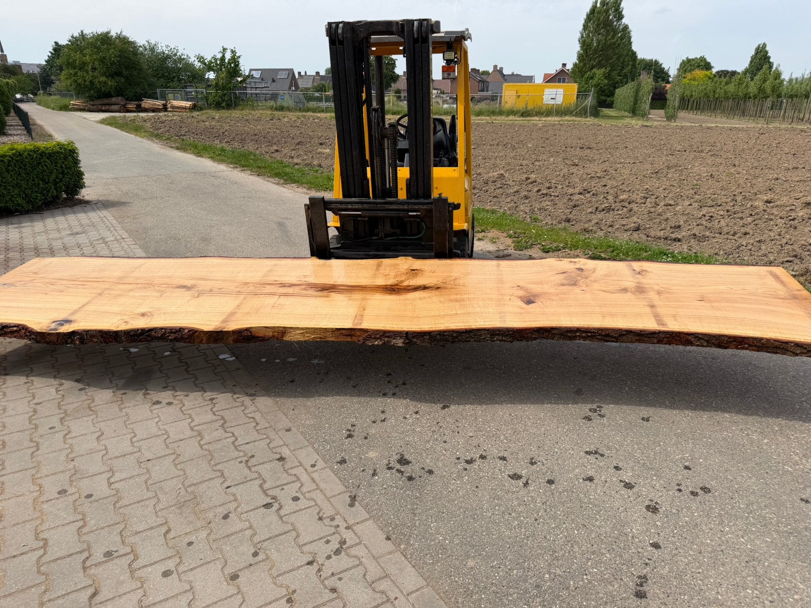 Mega grote eiken boomstam bladen 520x100x8cm, Verzenden, Zo goed als nieuw, 250 cm of meer, Planken