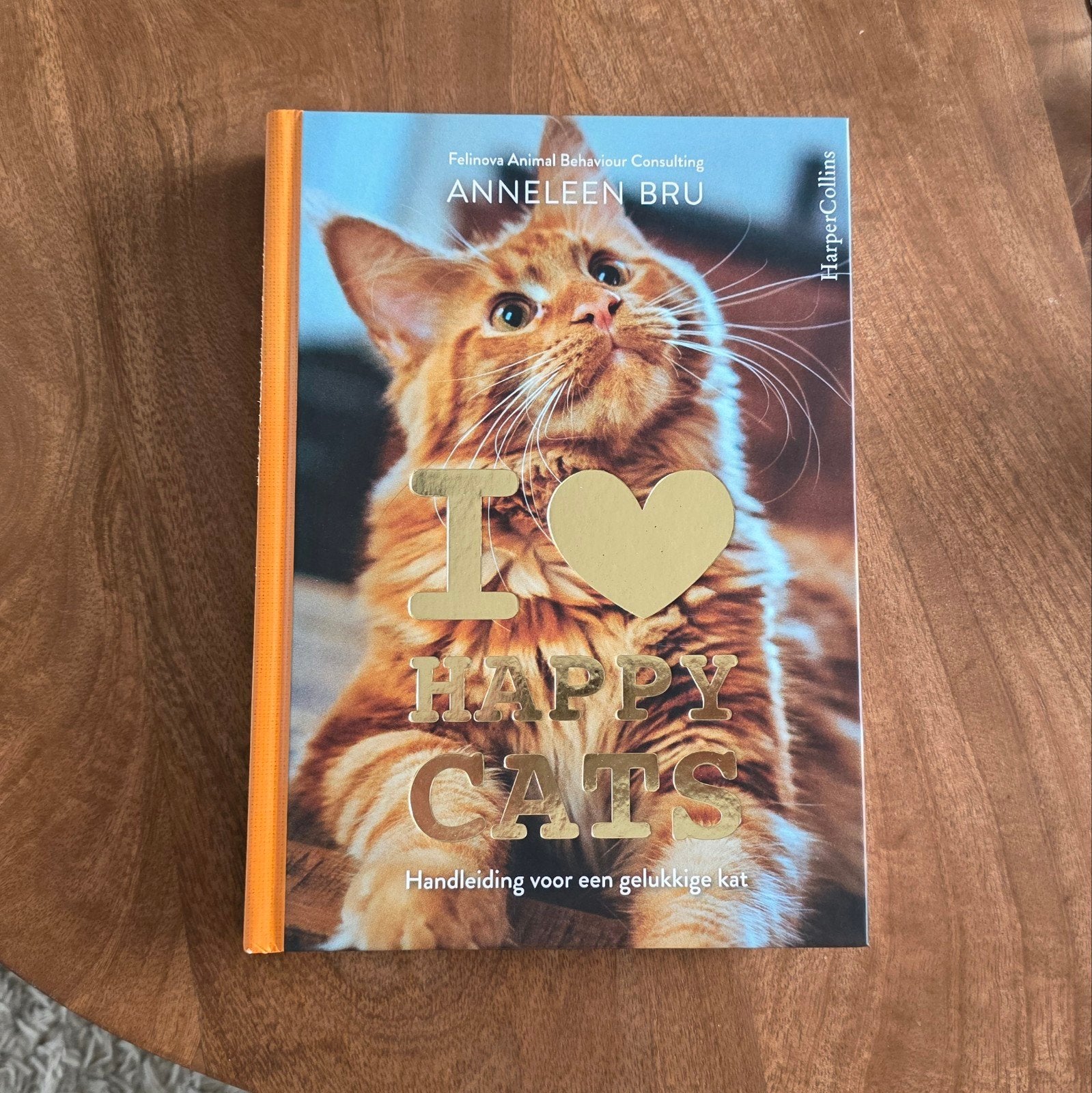 Anneleen Bru - I Love Happy Cats, Anneleen Bru, Ophalen of Verzenden, Zo goed als nieuw, Katten