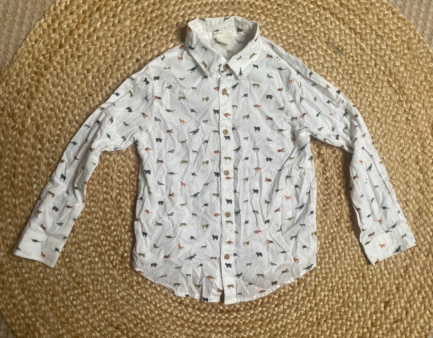 Overhemd dieren Kelzuki x H&M maat 122, Ophalen of Verzenden, Gebruikt, Jongen, Overhemd of Blouse