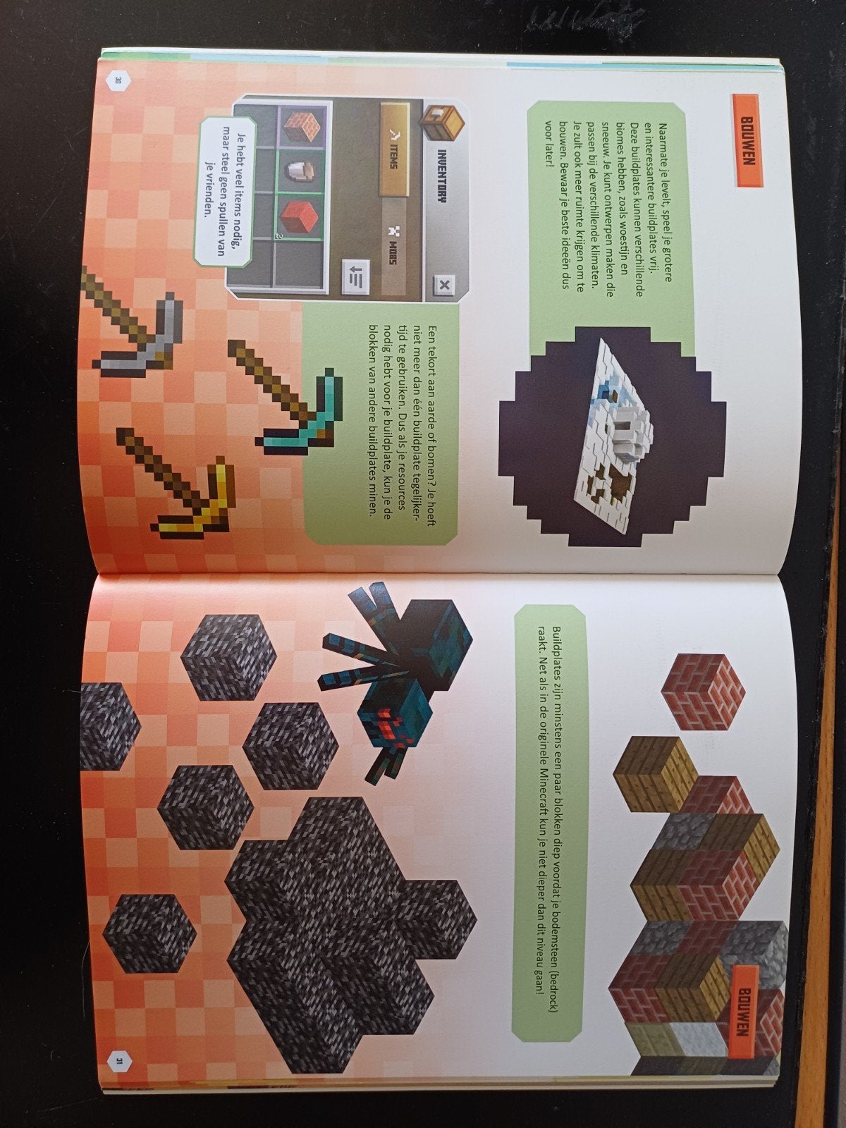 Mincraft en Fortnite boek, Ophalen of Verzenden