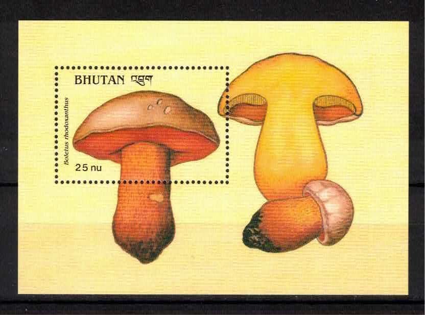 Bhutan 1989, Paddenstoel **, MNH, Ophalen of Verzenden, Postfris, Dier of Natuur