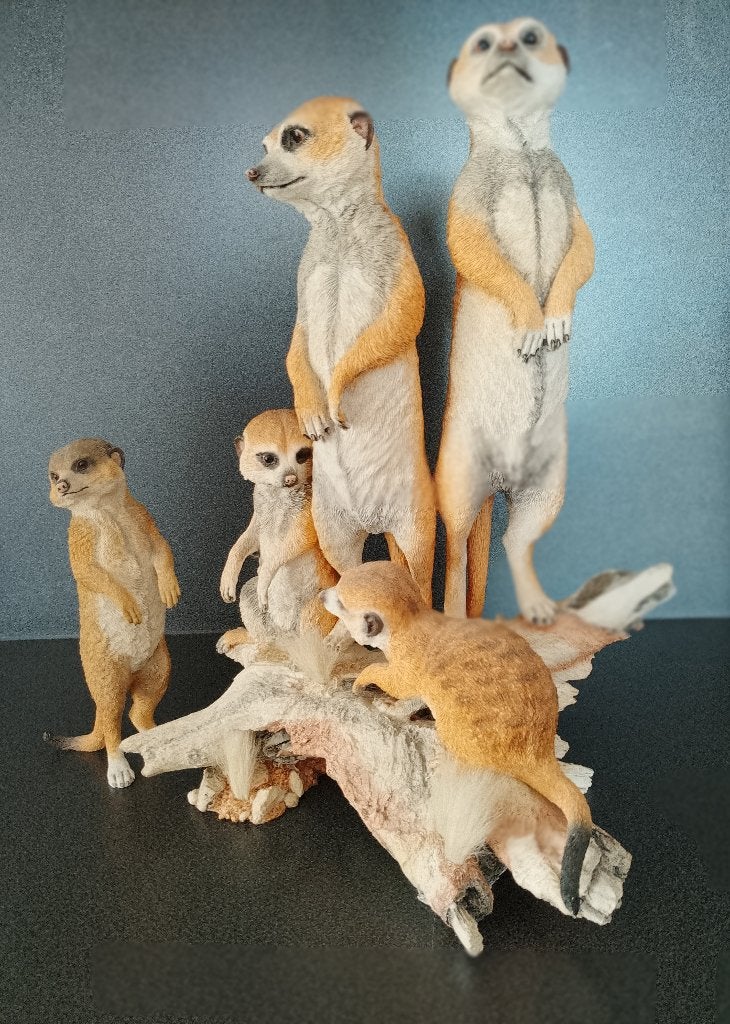 Familie Stokstaartjes (Meerkat) + Baby Meerkat, Verzamelen, Beelden en Beeldjes, Ophalen of Verzenden, Zo goed als nieuw, Dier